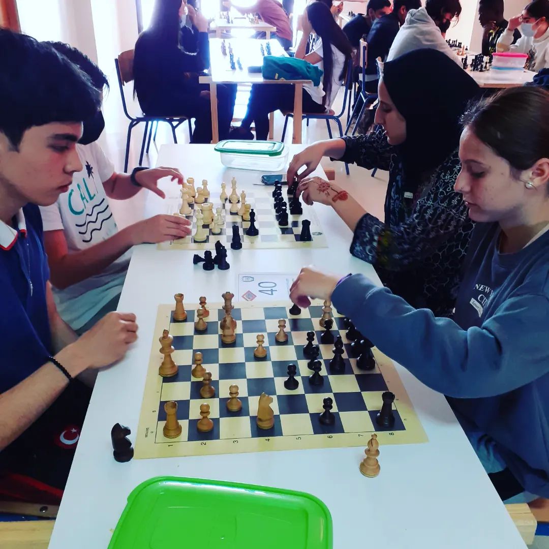 280576255 663630694741855 7818275793769348967 n