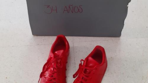 260721021 559685278469731 7571211027867980713 n