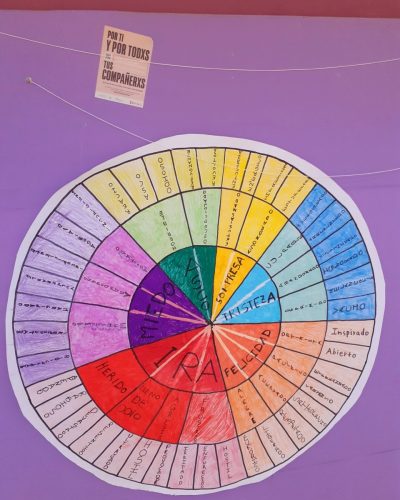 589905868 1532913334480249 5812632414892580971 n