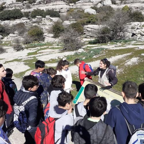 86609153 557707438167508 5703772811684741120 n