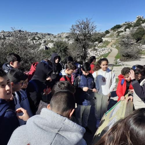 87003744 557707291500856 3010157241337643008 n