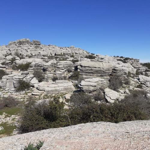 87028615 557707608167491 4278908275841302528 n