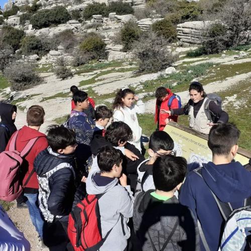 87062810 557707388167513 5681055505590517760 n