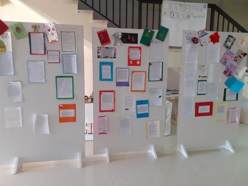 132025565 758423131429270 2676807486026601798 o