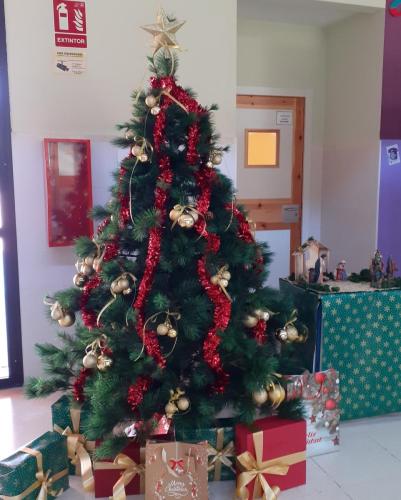 266075284 568974590874133 8847330744731089061 n