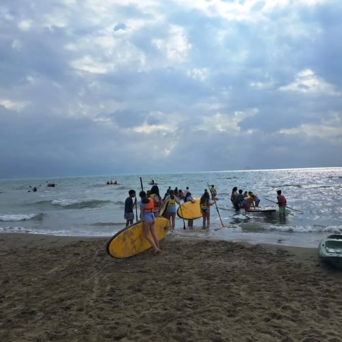 501931658 18156426523366912 8436989988836074565 n