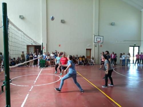 35080252 1286224924841315 1938229422544912384 n