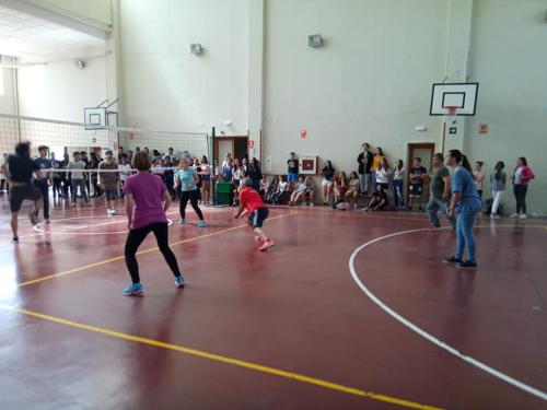 35151250 1286225328174608 8879308112352247808 n