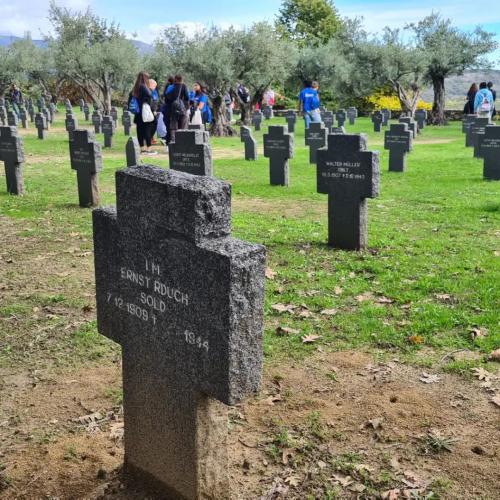 314556684 788172168954373 5819226762882957532 n