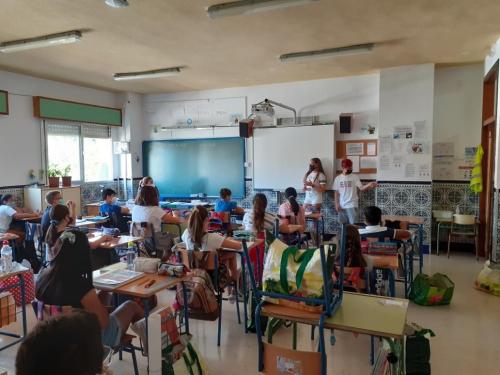 Plan de Transito 2021