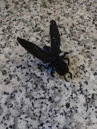 438241462 1123867965384790 4491326968487993958 n