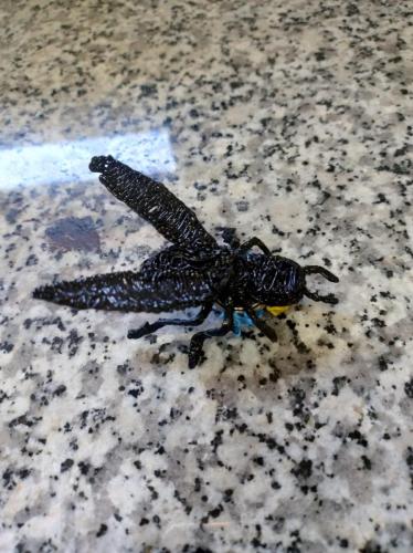 444149923 1123868008718119 6256060489098627186 n