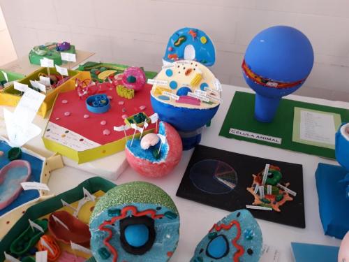 TRABAJOS DE CCSS Y CCNN 2018