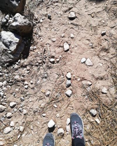 274189586 245084241147292 3758745154001877846 n