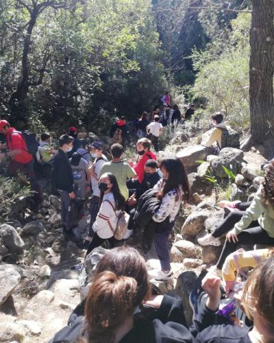 274209283 245081421147574 3654008420980092901 n