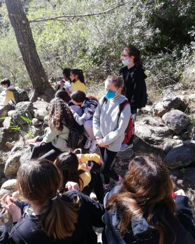 274238050 245080641147652 9128770897607550700 n