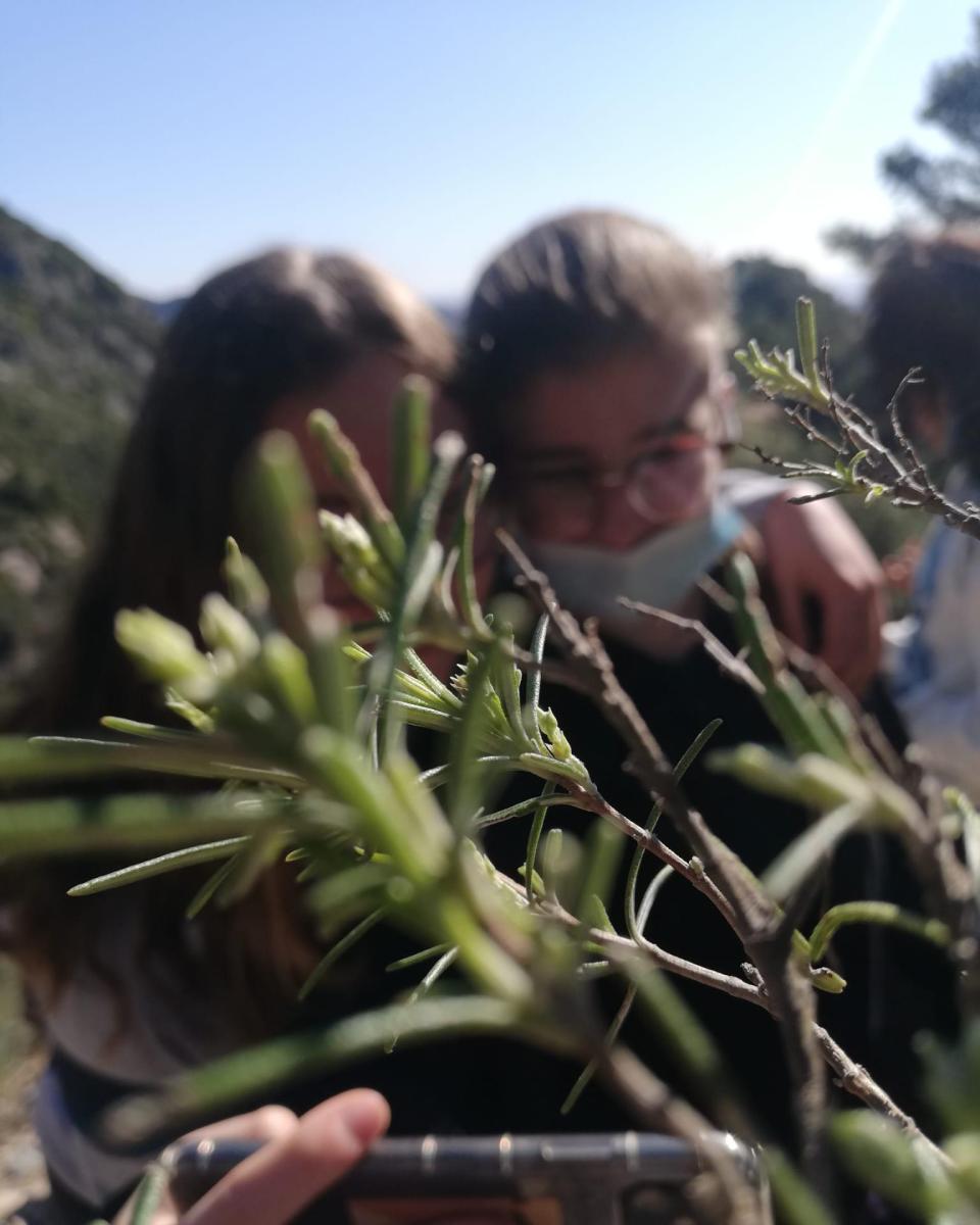 274180710 245083101147406 3558799804311468681 n