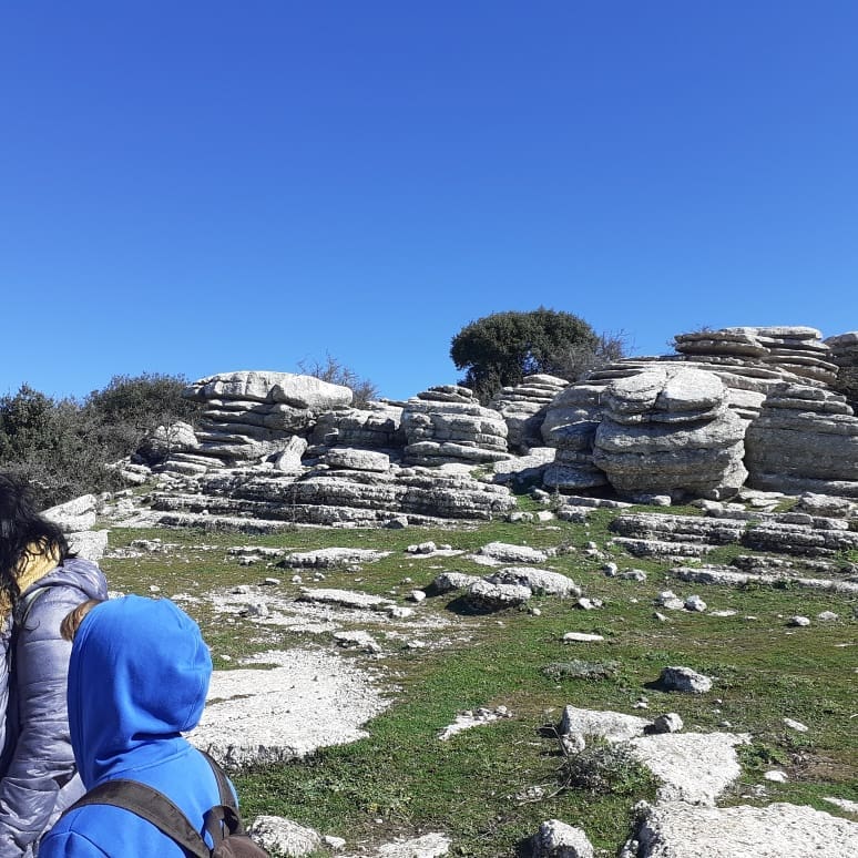 86481093 557707681500817 1750468858411483136 n